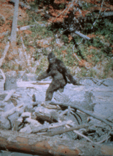 bigfoot.gif