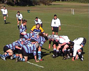 sydney-high-rugby.jpg